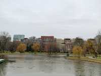 พักผ่อน ชมธรรมชาติ Boston common