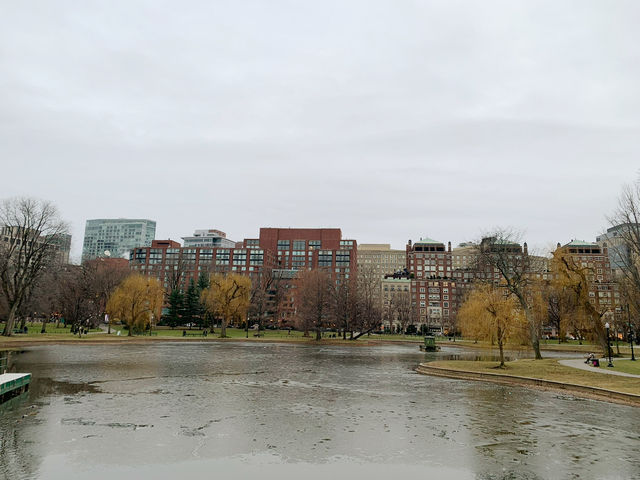 พักผ่อน ชมธรรมชาติ Boston common