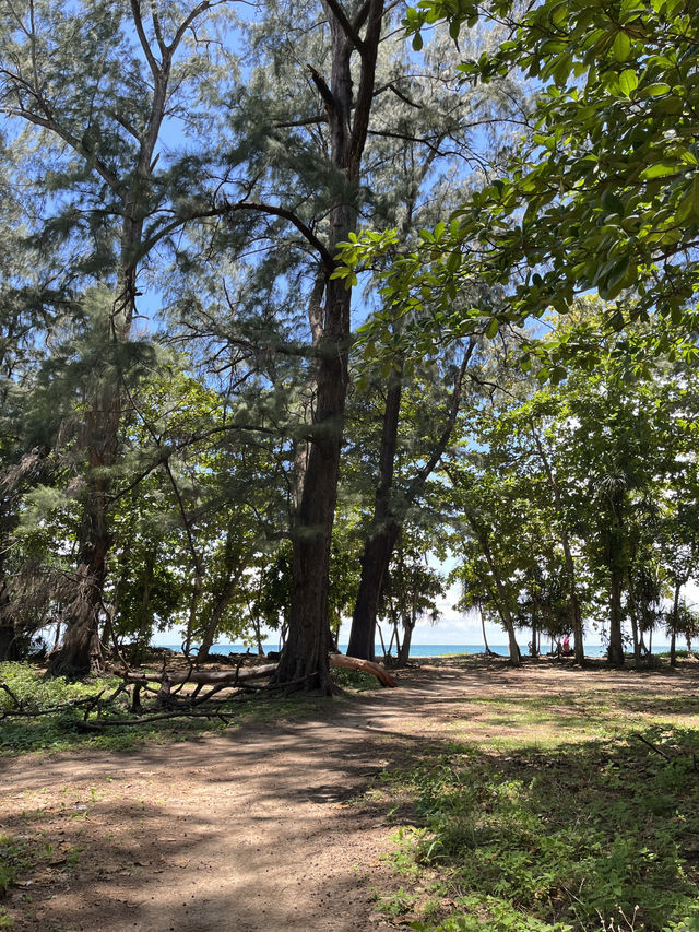 หาดในยาง