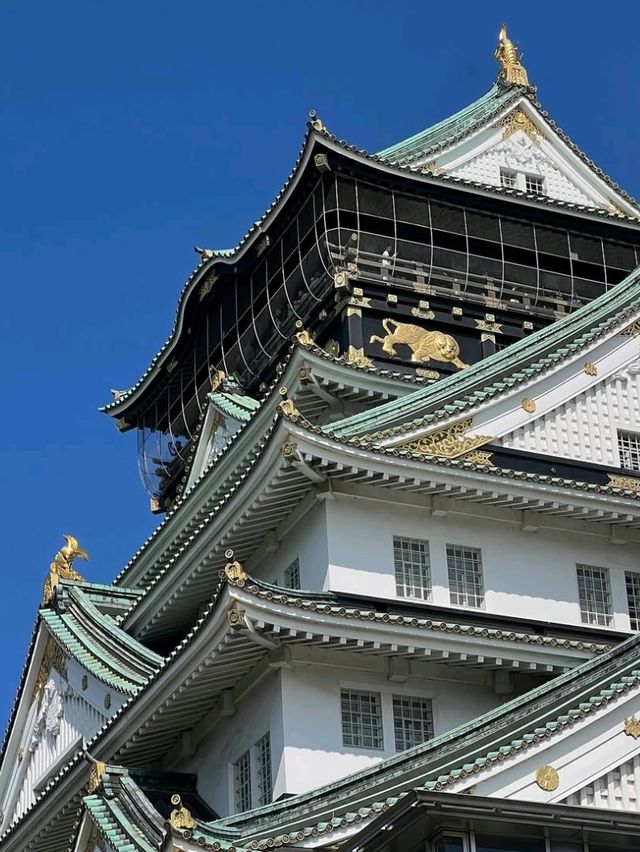 🏯 Royal Vibes Only! A Day at Osaka Castle 🌸