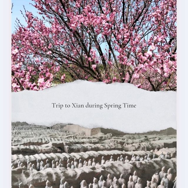 Where Terracotta Warriors Dance With Blossoms