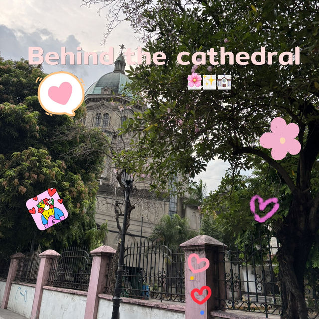 ⛪️✨🇵🇭Manila cathedral 📜🏛️
