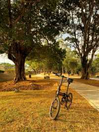 Ride Between the Bridges: A Golden Hour Cycle Along Penang’s Coast