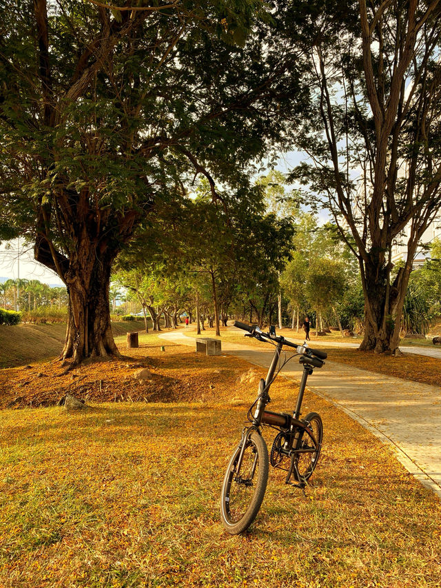 Ride Between the Bridges: A Golden Hour Cycle Along Penang’s Coast