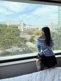 라한의 봄맞이 컬러풀 라한랜드 오픈!