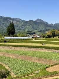 美麗的高千穗農業遺產
