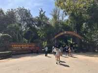 【Erawan Falls｜エラワンの滝】  “7段の滝を歩く旅。”エメラルドグリーンの楽園で、時間を忘れる。