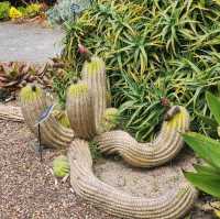 Mendocino Coast Botanical Gardens – Fort Bragg, CA