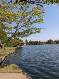 晴れた日はここで決まり！南湖公園さんぽ日和