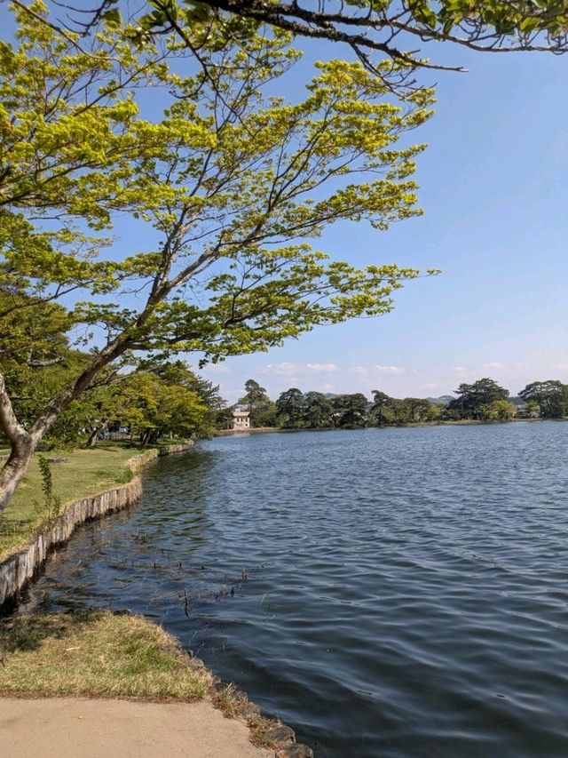 晴れた日はここで決まり！南湖公園さんぽ日和