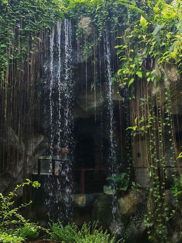 Batu Ferringhi 2D1N Itinerary: Nature and Beach Escape