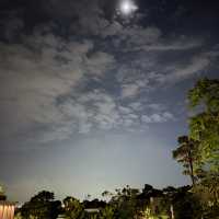 Beautiful Raffles Sentosa Singapore!