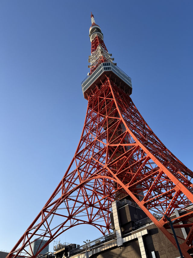 A Gourmet Weekend by Tokyo Tower🗼