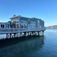 “Sausalito: Where the bay sparkles, the art flows, and life feels like a postcard.” ✨🌊⛵🎨🍷
