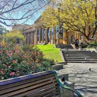 Why I Love Spring in Melbourne