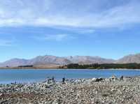 ขับรถเที่ยวเกาะใต้นิวซีแลนด์ - Lake TEKAPO