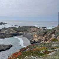 Point Lobos State Natural Reserve – Carmel-by-the-Sea, CA