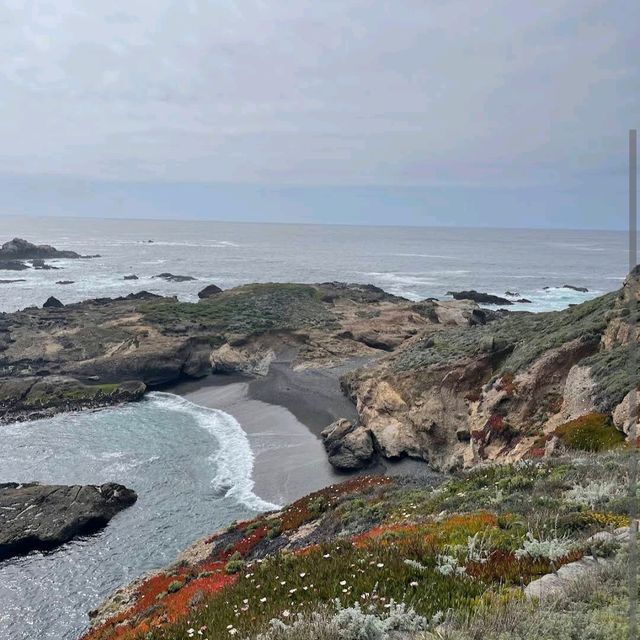 Point Lobos State Natural Reserve – Carmel-by-the-Sea, CA