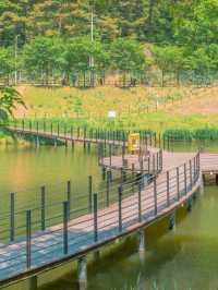 Discovering Daegu: A Perfect Blend of Tradition and Modernity