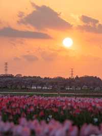 千葉県　佐倉ふるさと広場