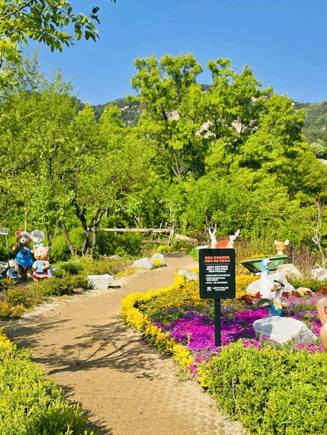 Spring Trip to Buramsan Azalea Hill in Seoul