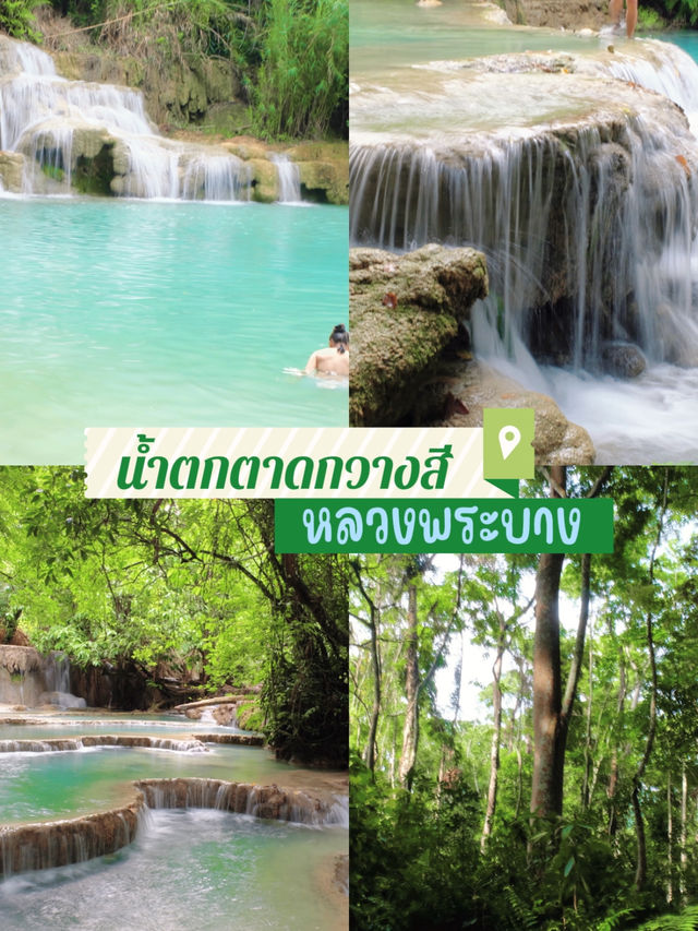 น้ำตกตาดกวางสี สีมรกตที่ควรมาเห็นด้วยตาตัวเอง🐻