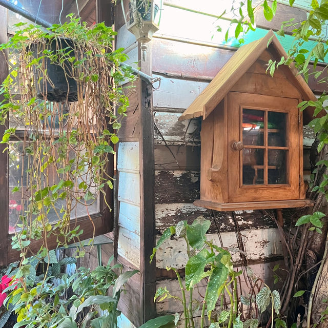 ร้านพาสต้าโฮมเมด เชียงใหม่
