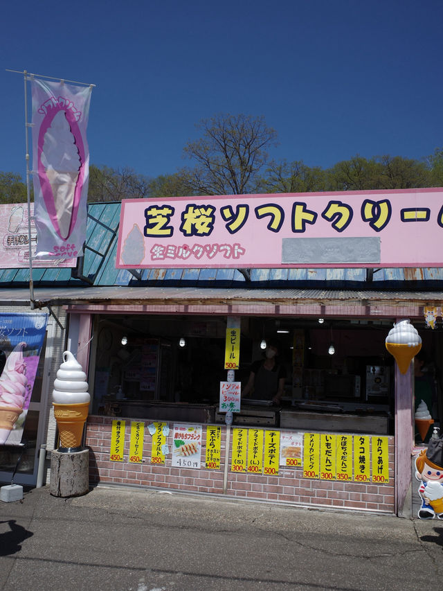 ひがしもこと芝桜公園で春の絶景体験！ピンクのじゅうたんに包まれる感動スポット