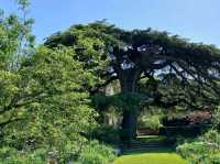 Wandering Through Living Art – My Day at Hidcote Manor Garden