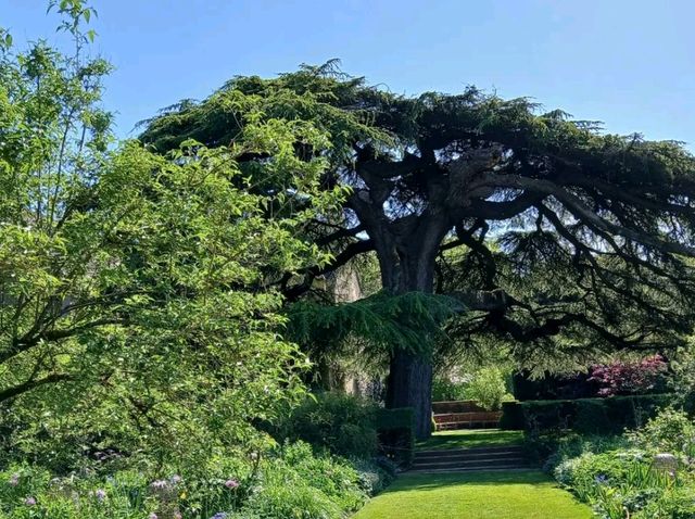 Wandering Through Living Art – My Day at Hidcote Manor Garden