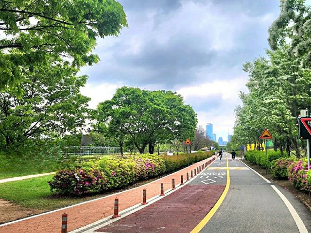Title: Seonyudo & Yanghwa Hangang Park: Seoul’s Riverside Eco-Cultural Duo