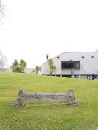 紐西蘭南島🇳🇿Edgewater Hotel Café 早餐打卡🩵湖景與孤獨的樹