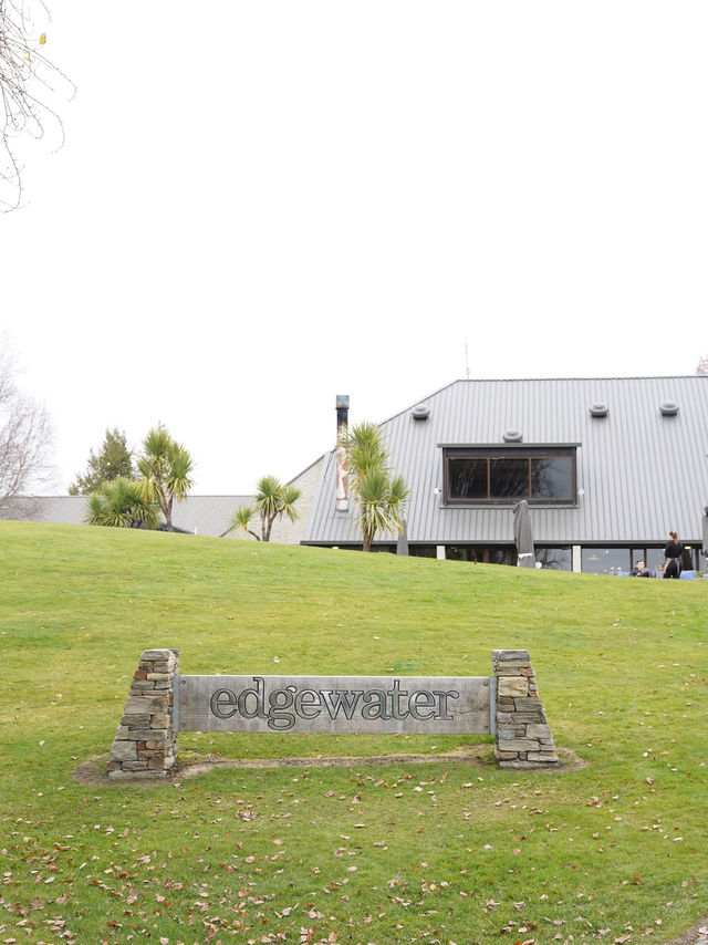 紐西蘭南島🇳🇿Edgewater Hotel Café 早餐打卡🩵湖景與孤獨的樹