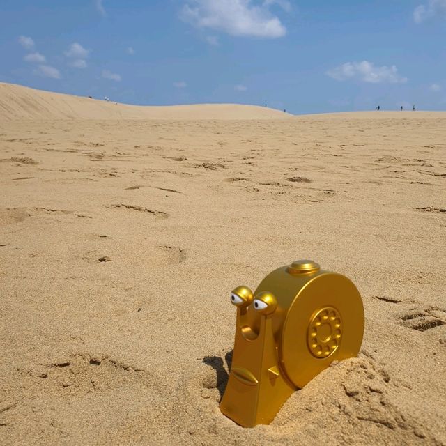 일본 돗토리 사구🏜