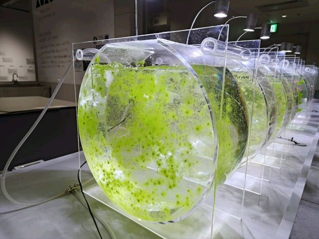 札幌景點｜2023年新開幕城市中的海洋世界~AOAO SAPPORO