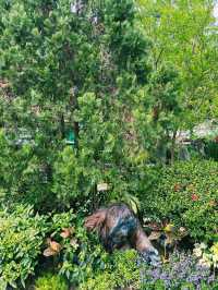 香港｜動植物公園向日葵季｜陽光燦爛的花海回憶