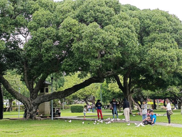 鬧中取靜的時光綠洲，台中公園漫遊。