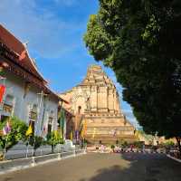 🪷ไหว้พระ | วัดเจดีย์หลวง เชียงใหม่ 🪷