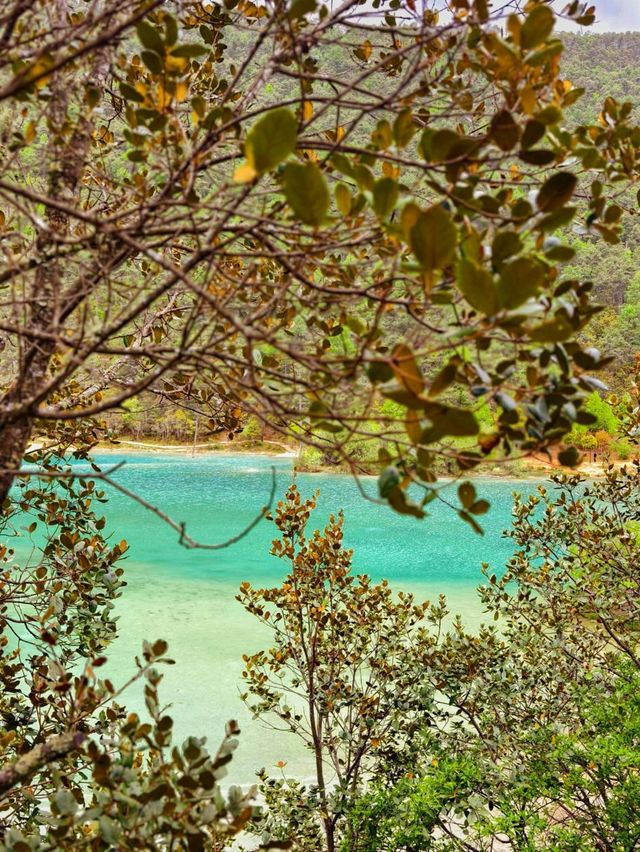 Blue Moon Valley: Where Nature Shows Off in Style