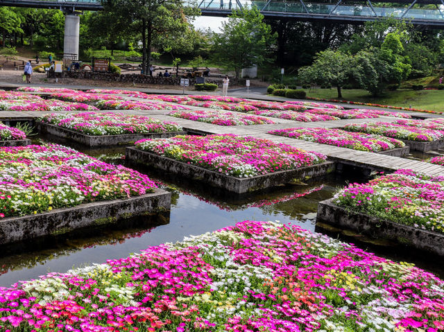 【鳥取県】 四季折々の花々が見渡せる西日本最大級のフラワーパーク『とっとり花回廊』
