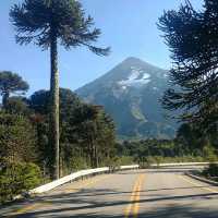 Lanín National Park – Where Volcanoes Watch Over Lakes