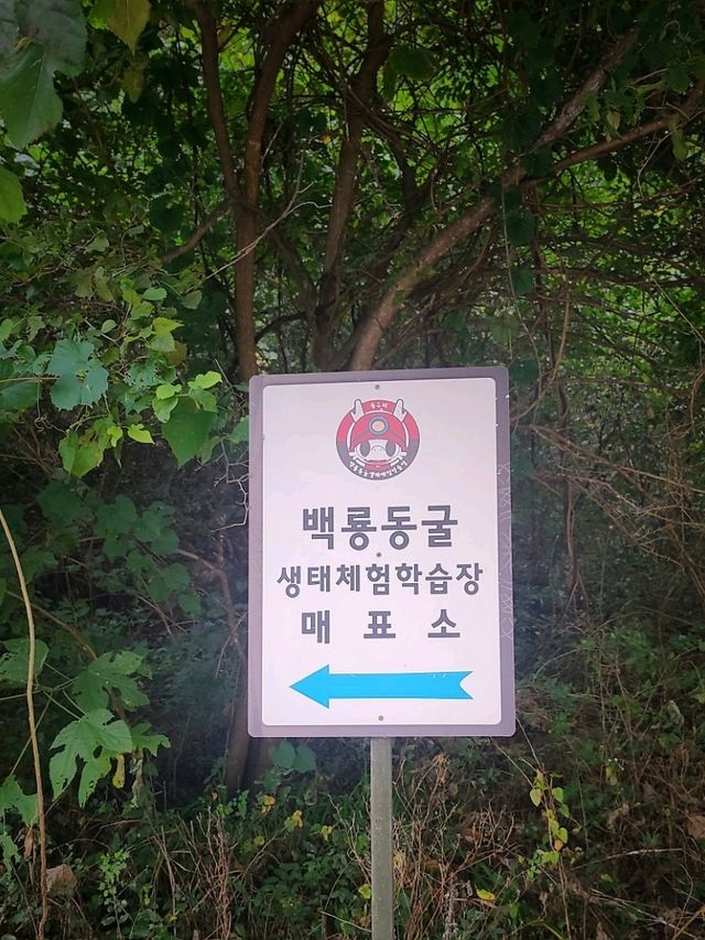 평창 체험형 동굴탐사🖤백룡동굴