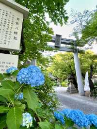 A Relaxed Walk Around Nagoya – Shrines, Temples & Coffee Breaks