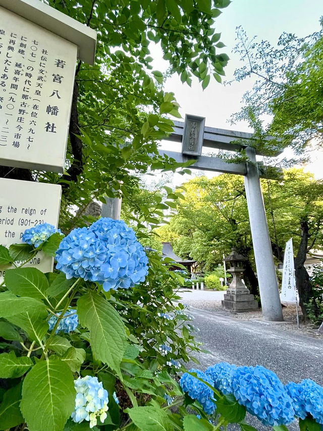 A Relaxed Walk Around Nagoya – Shrines, Temples & Coffee Breaks
