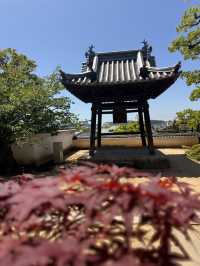 岡山｜寂靜無人的寶壽山觀龍寺 見證東密與神道分合的寺院