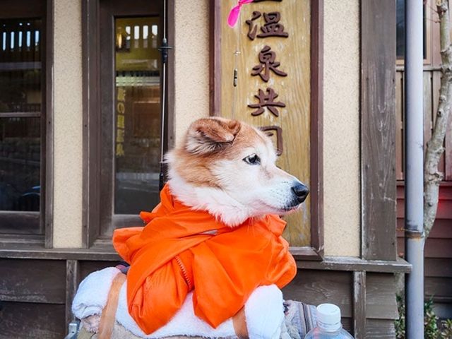 [🇯🇵 長崎] 長崎の温泉地、雲仙（うんぜん）でおすすめの日帰り温泉スポットをご紹介します。