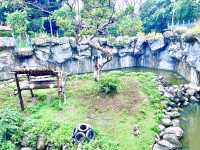 ［新竹旅遊］新竹市立動物園-親子共遊好去處🐒