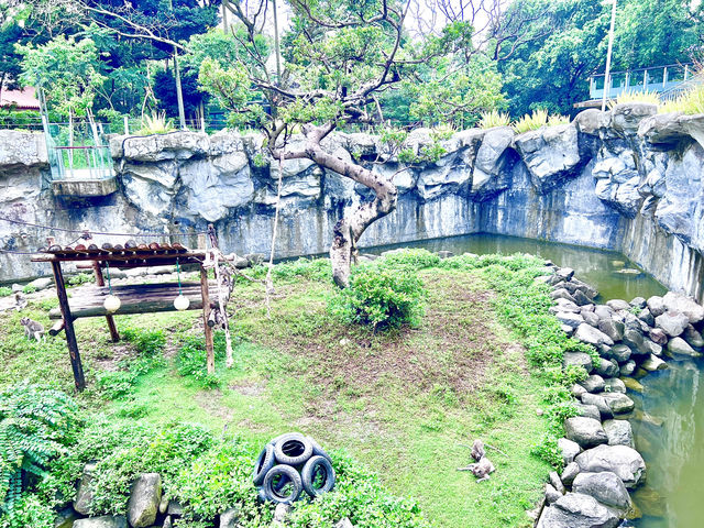 ［新竹旅遊］新竹市立動物園-親子共遊好去處🐒