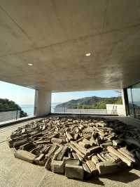 【直島】泊まれる美術館で現代アートと一体化「ベネッセハウスミュージアム」