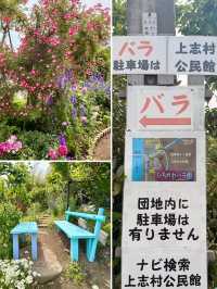 【大分】大分の初夏の有名スポット！華麗なバラ園✨